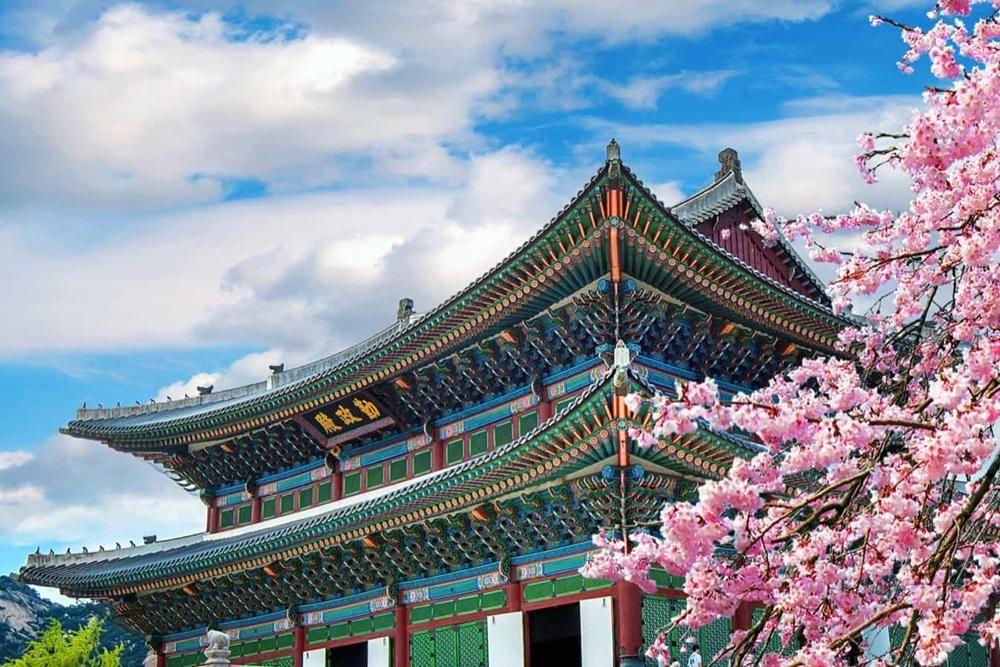 12 Aplikasi Wajib Saat Traveling ke Korea, Biar Liburan Makin Praktis!