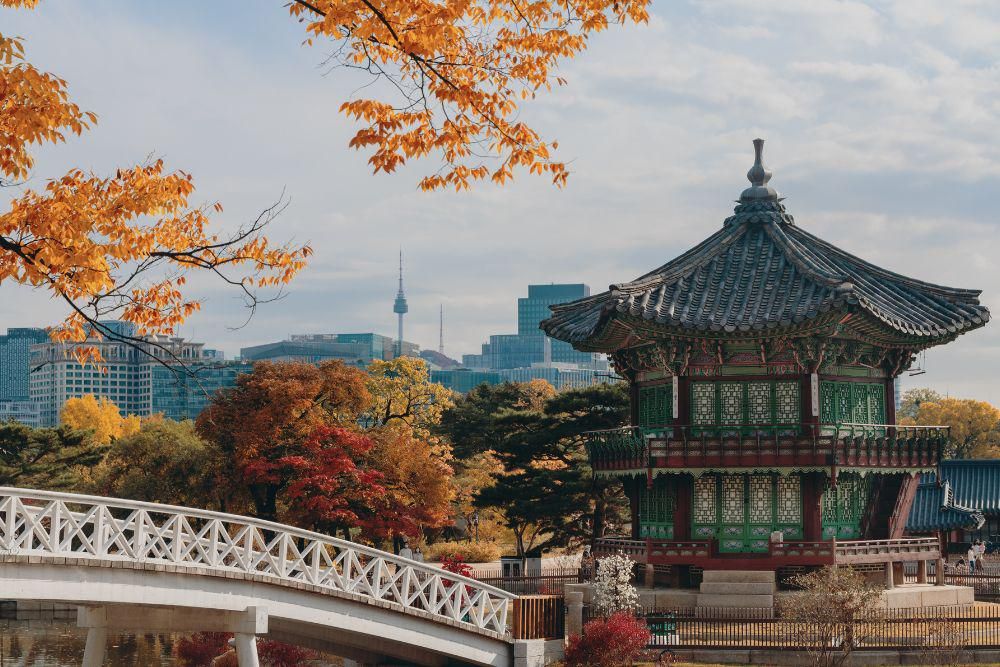 10+ Rekomendasi Oleh-oleh dari Korea Selatan yang Wajib Dibeli Wisatawan