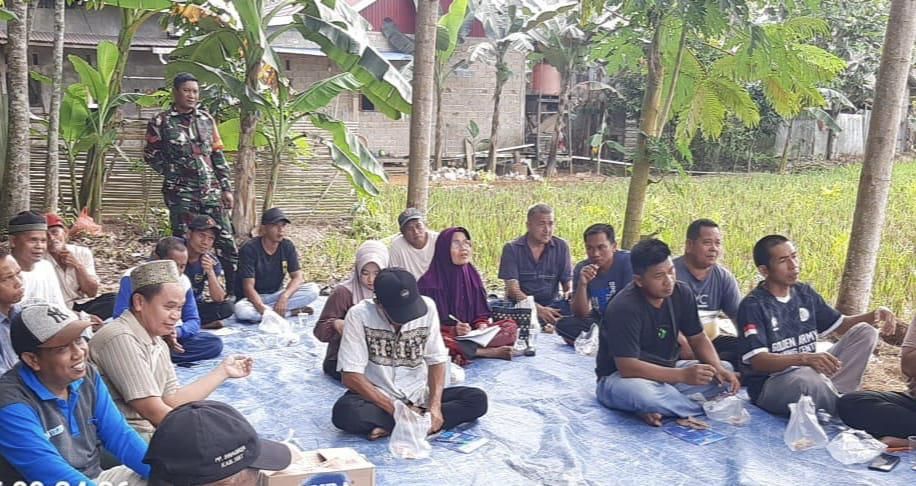 Babinsa Turun Sawah! TNI Dukung Petani di Sekolah Lapang Barabai