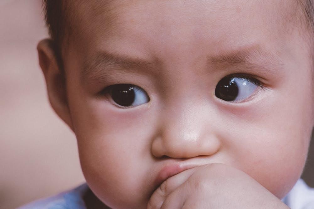 5 Rekomendasi Baby Crunch untuk Camilan si Kecil, Rasanya Enak