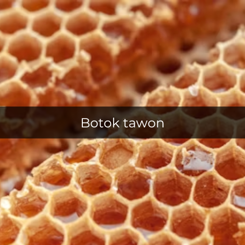 Ilustrasi botok tawon (unsplash.com/cimarin)