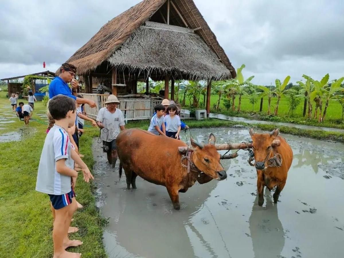 1: Lokasi, Harga Tiket, dan Aktivitas Seru