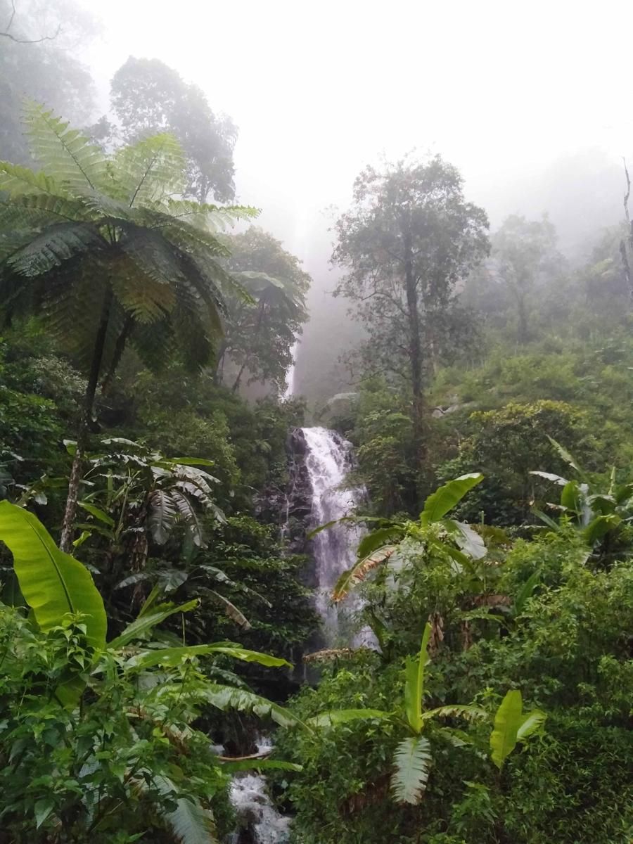 Curug Semawur: Lokasi, Rute, Harga Tiket, dan Tips Wisata