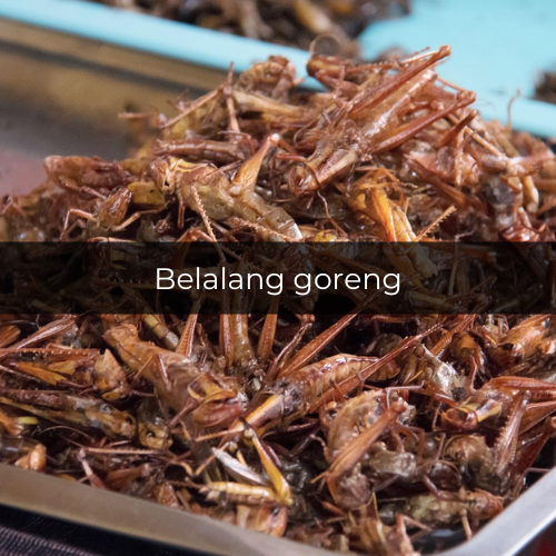 Ilustrasi belalang goreng (pixabay.com/buymeacoffee)