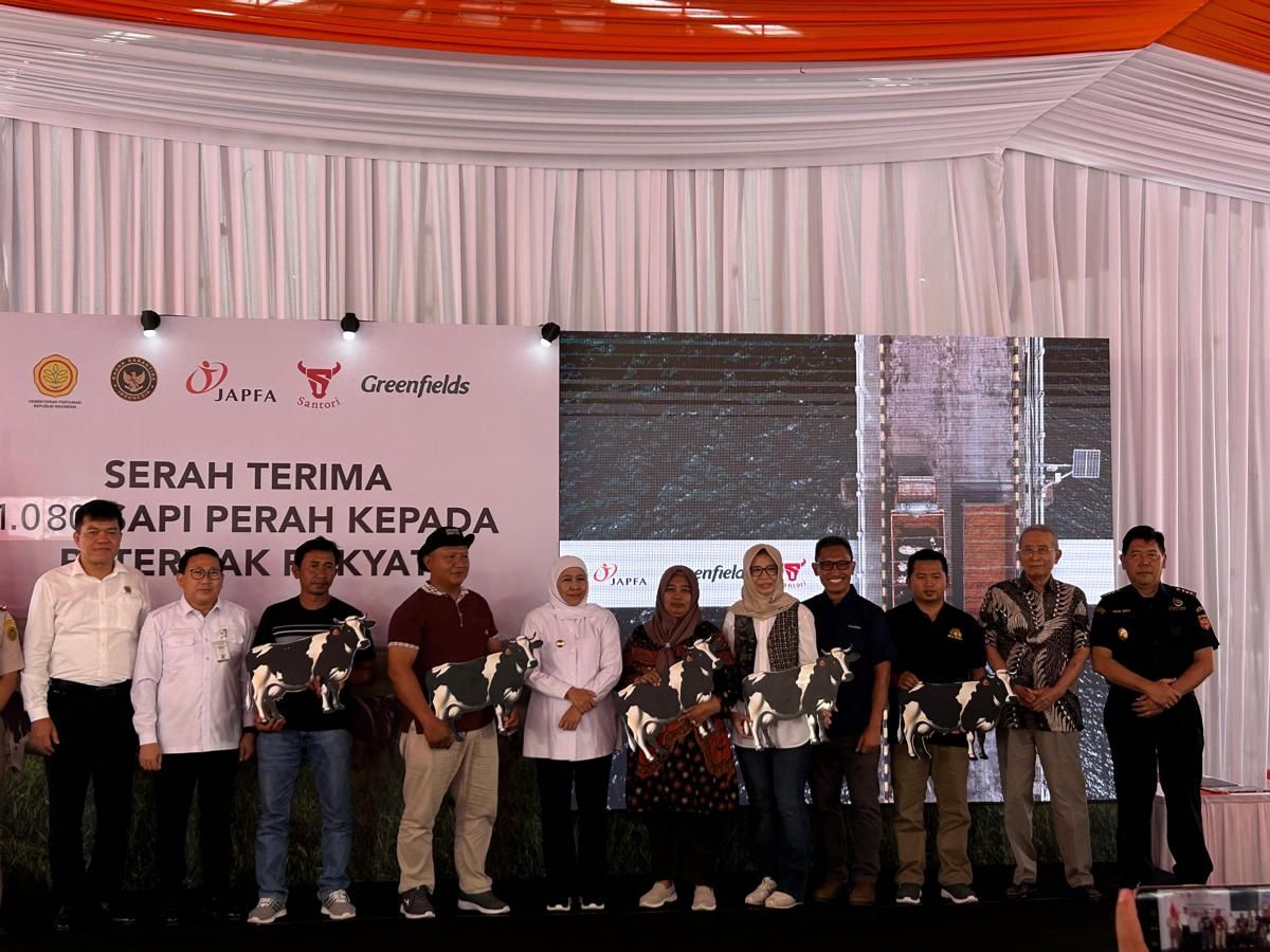 JAPFA-Greenfield Gelontorkan Rp33,5 M, Impor Sapi Bunting Australia