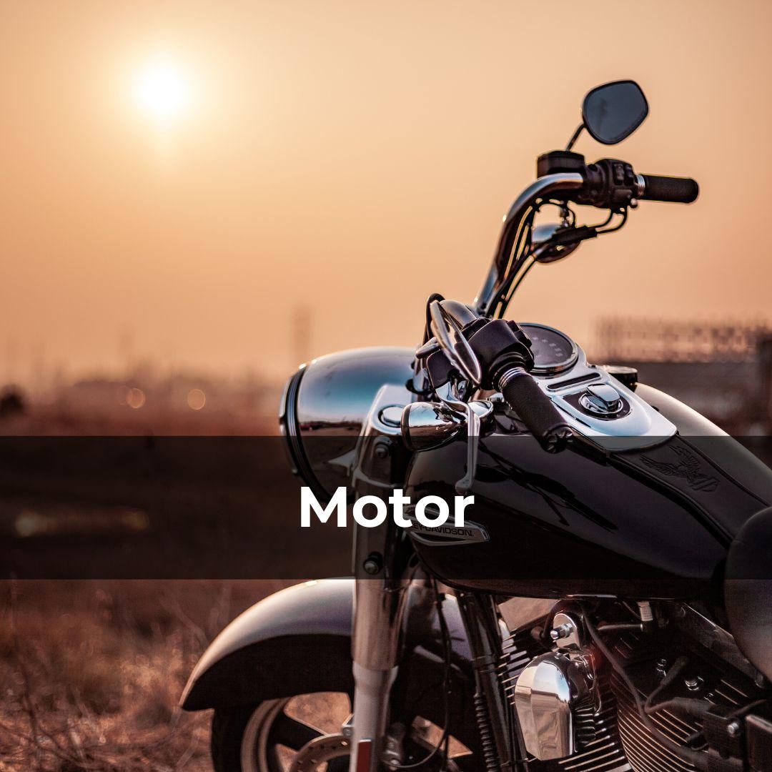 Potret motor