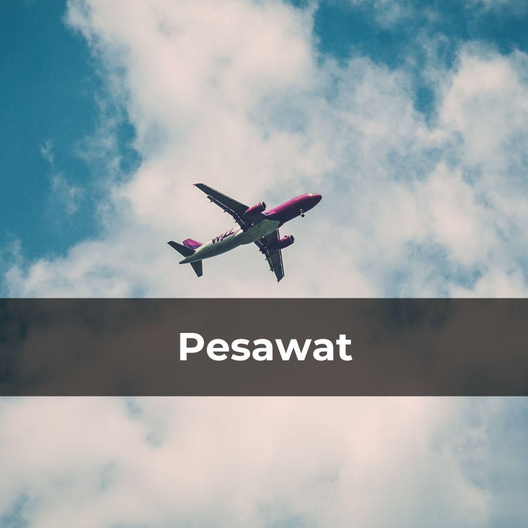 Potret pesawat