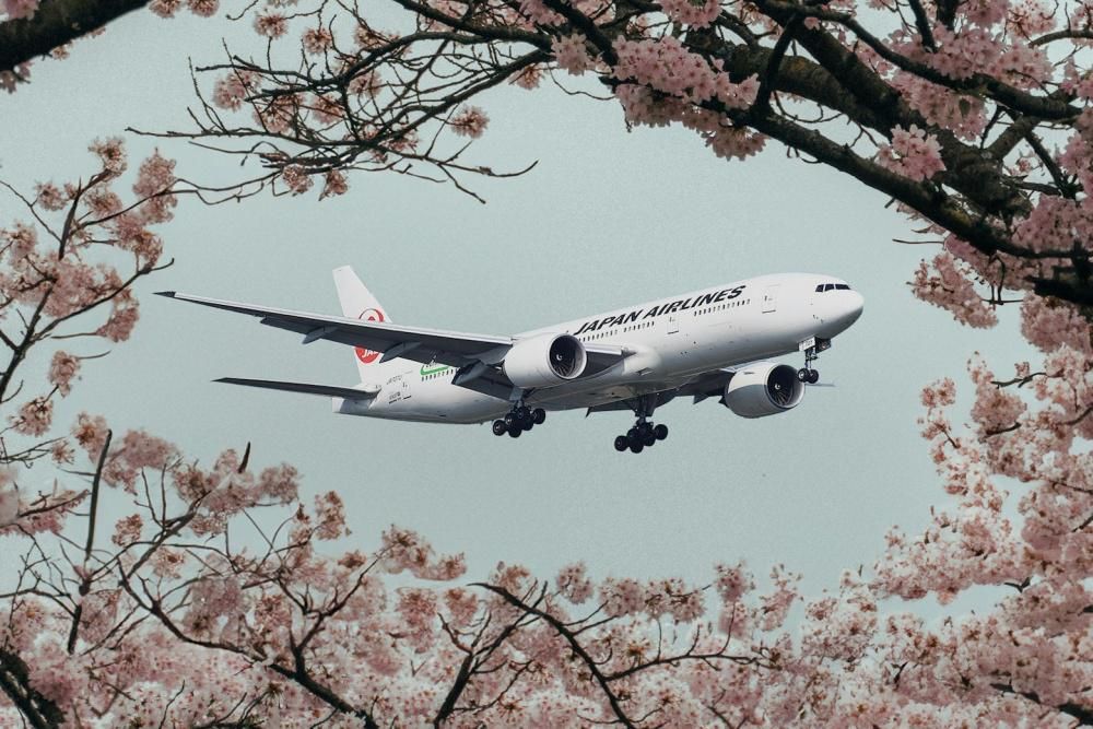 5 Hal Seru yang Ada di Permata Bank X Japan Airlines Travel Fair 2025