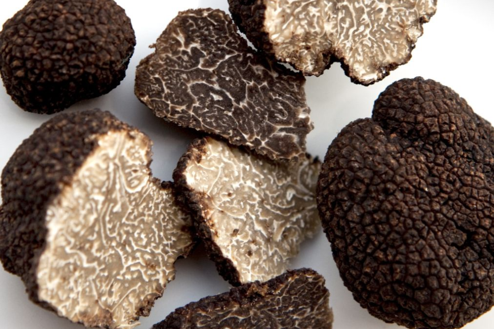 Bolehkah Ibu Hamil Makan Jamur Truffle? Ini Faktanya