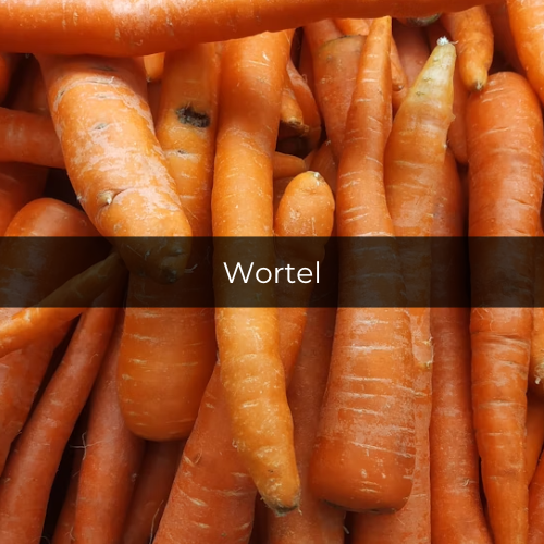 Ilustrasi wortel (unsplash.com/mufidpwt)