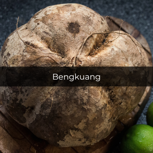 Potret bengkuang (canva.com/Natalia Cardenas from Studio Mexico)