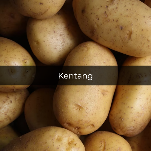 Ilustrasi kentang (unsplash.com/lmablankers)