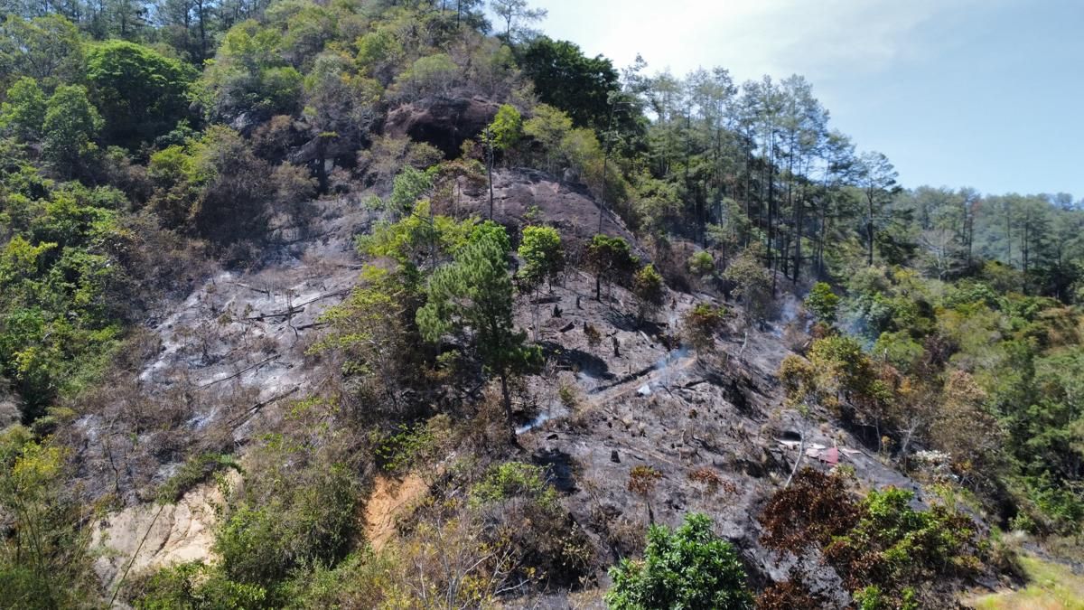 Atasi Karhutla di Sumbar, BMKG dan BNPB Lakukan Modifikasi Cuaca