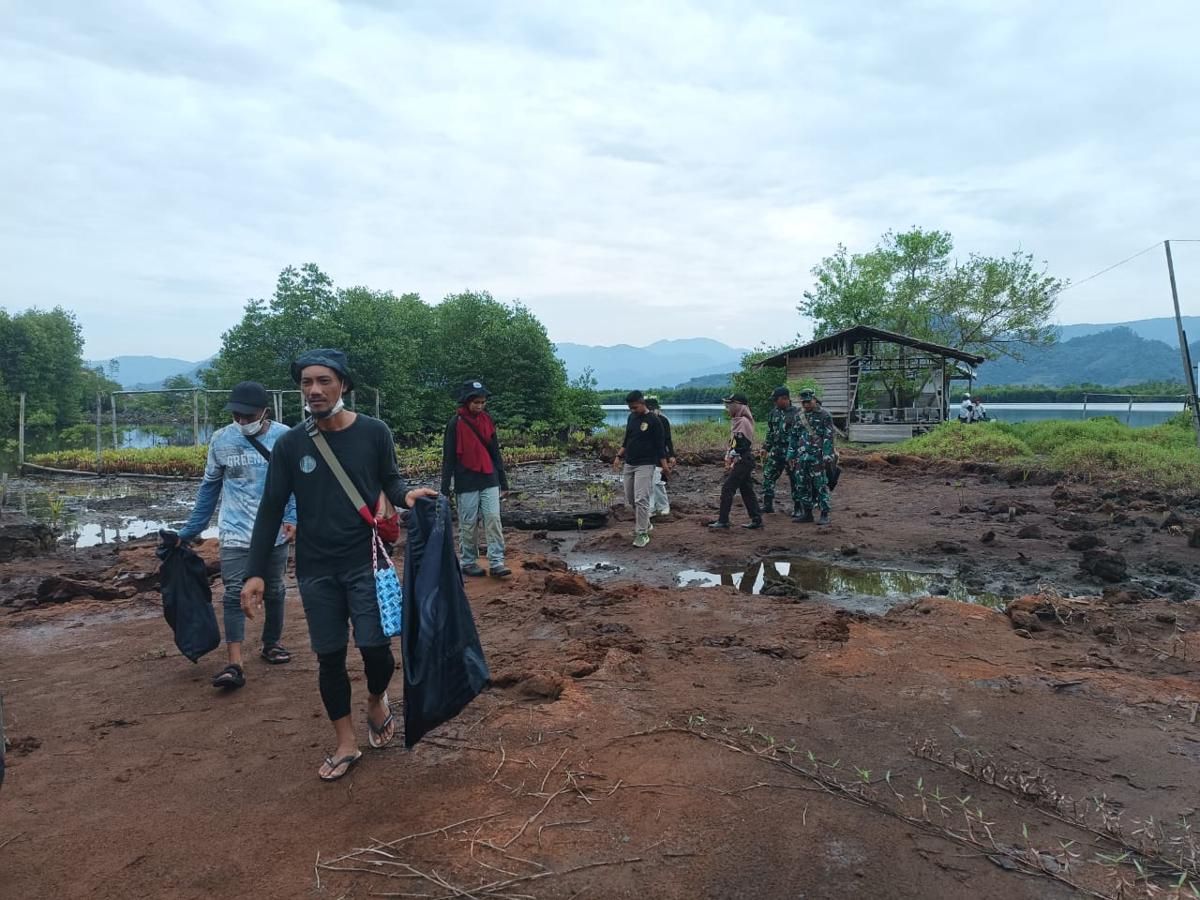 Gak Bikin Sampah Baru! Begini Cara Relawan Rawat Mangrove di Tapteng