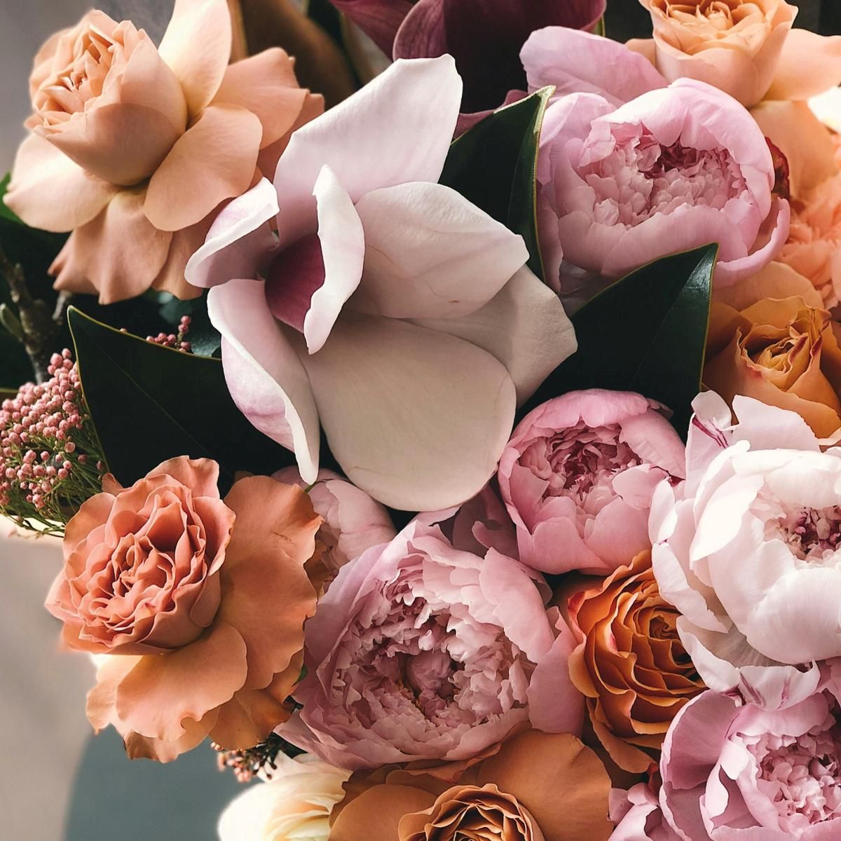pexels-secret-garden-333350-931162.jpg