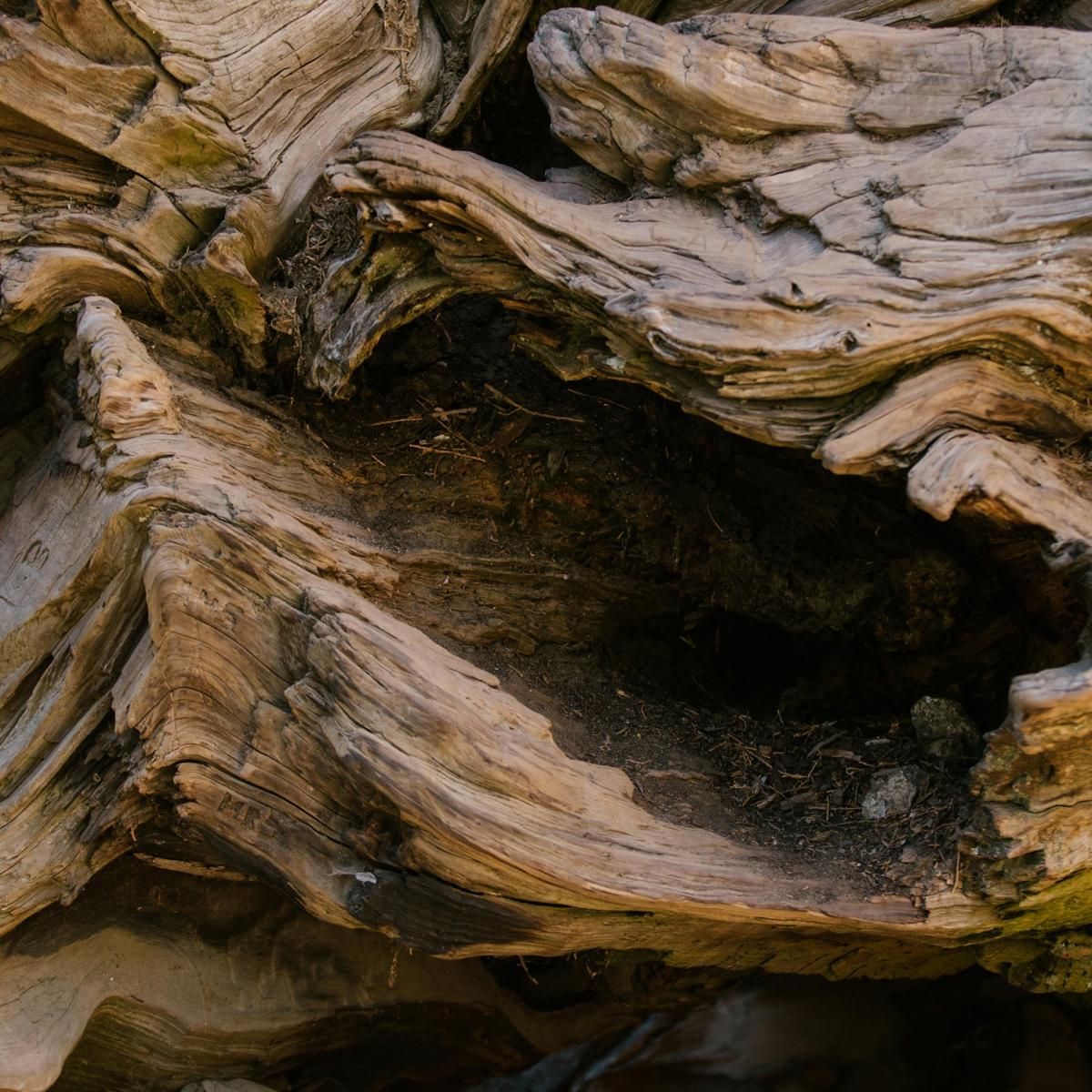 pexels-rdne-8552607.jpg