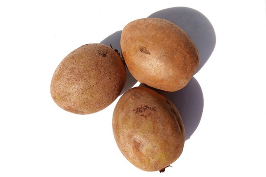 Potret buah sawo segar (vecteezy.com/marlinadina)