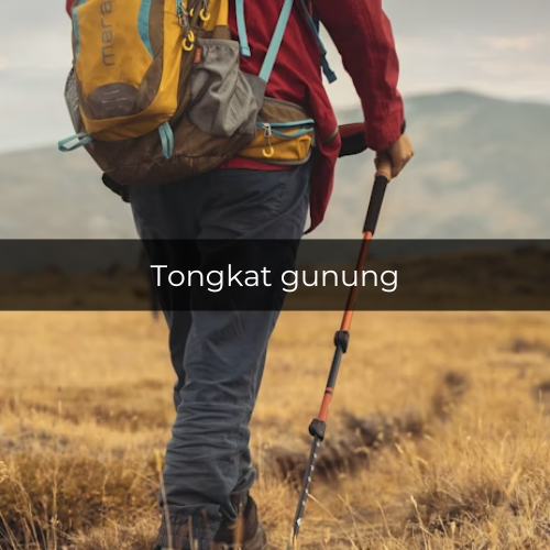Potret tongkat gunung