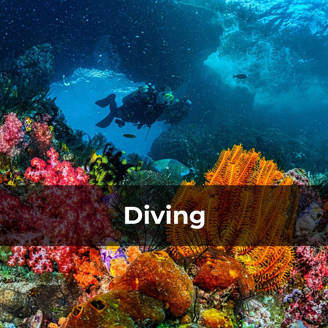 Potret diving