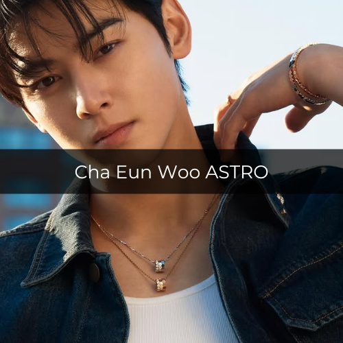 Potret Cha Eun Woo ASTRO