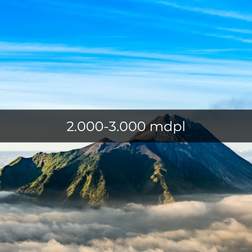 Potret Gunung Merapi 