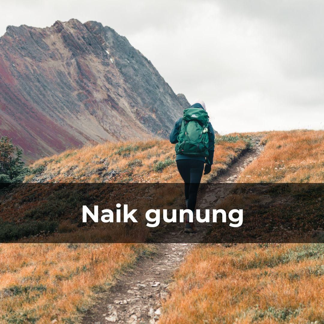 Potret naik gunung