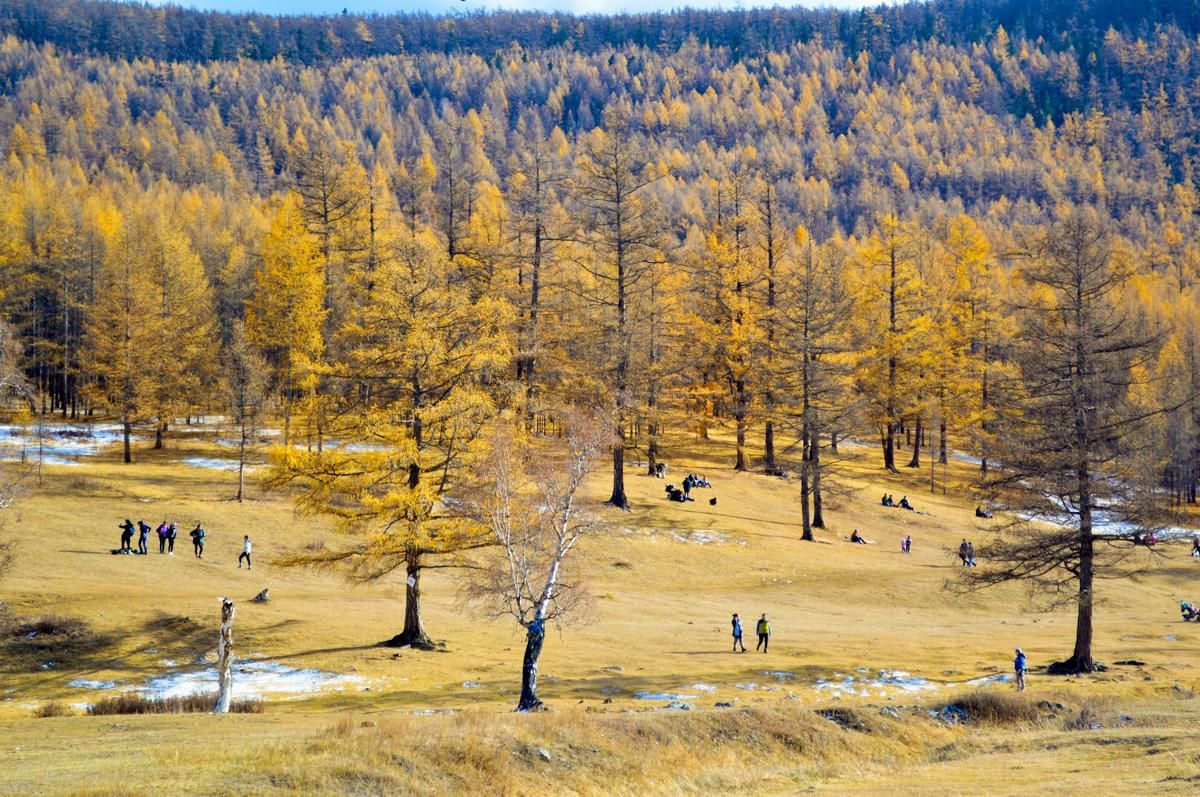 Suasana musim gugur di Mongolia 