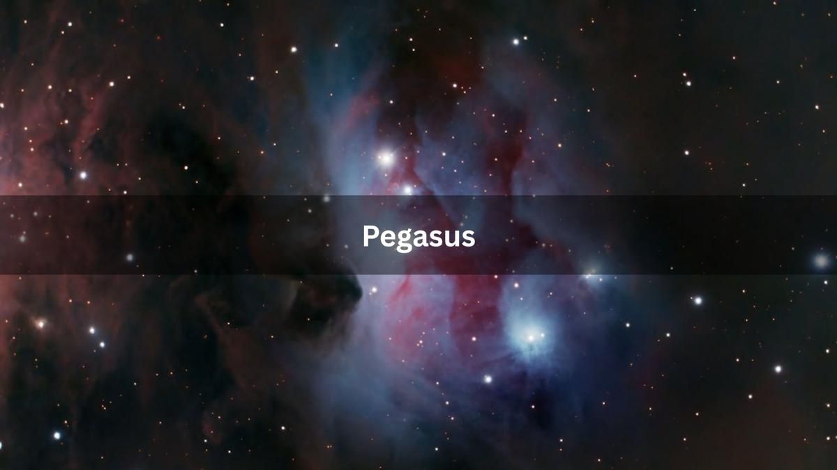 pegasus.jpg