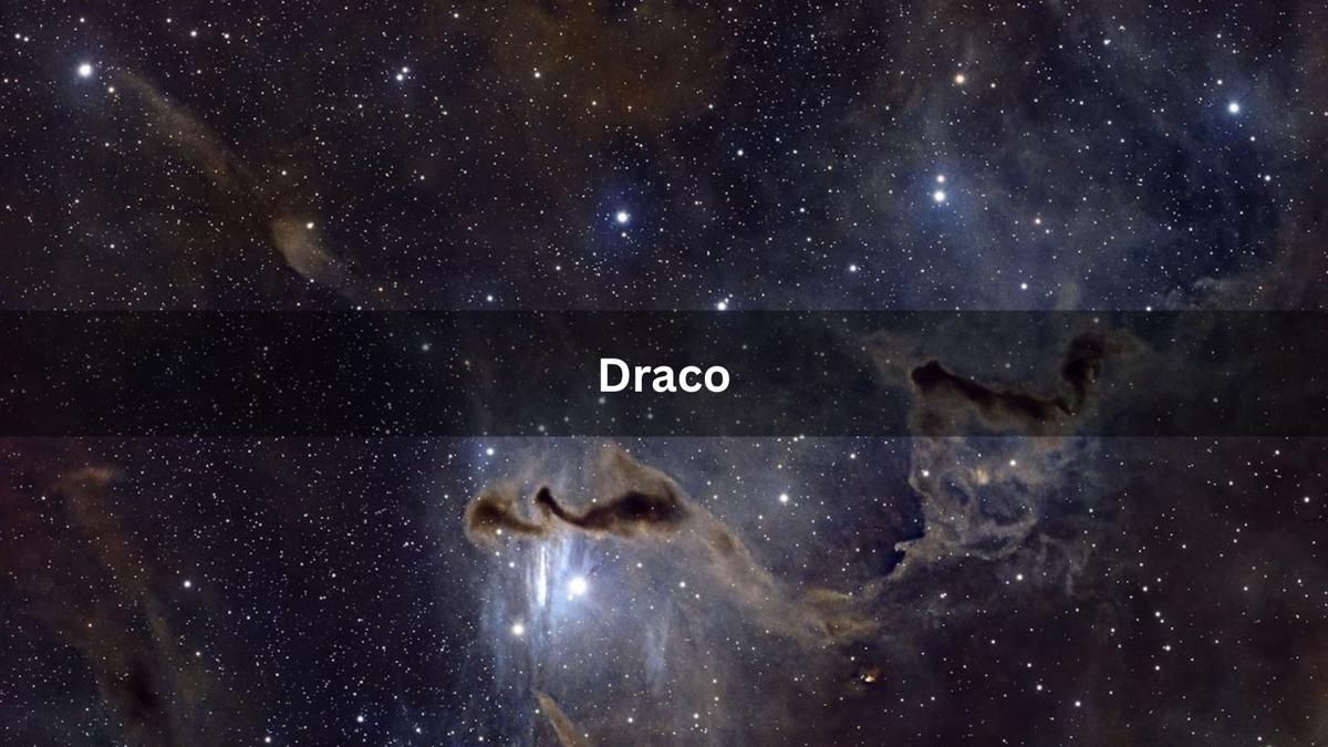 draco.jpg