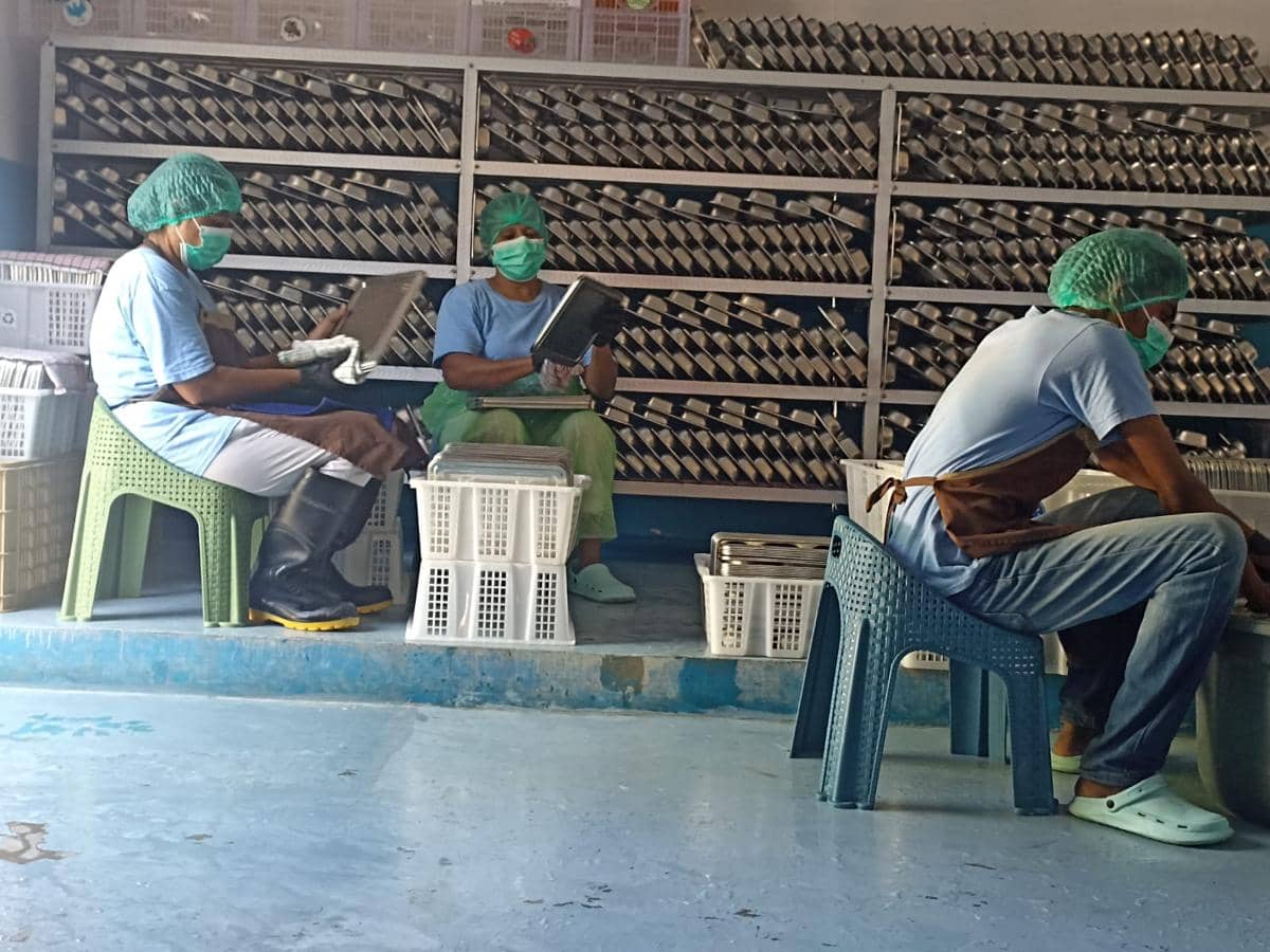 WhatsApp Image 2025-10-01 at 14.03.43.jpeg