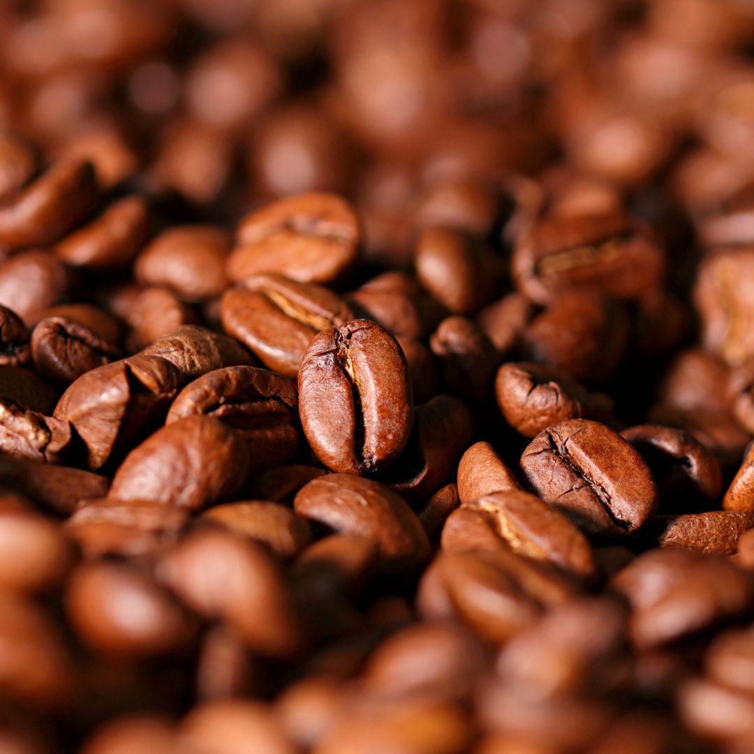 Potret biji kopi excelsa