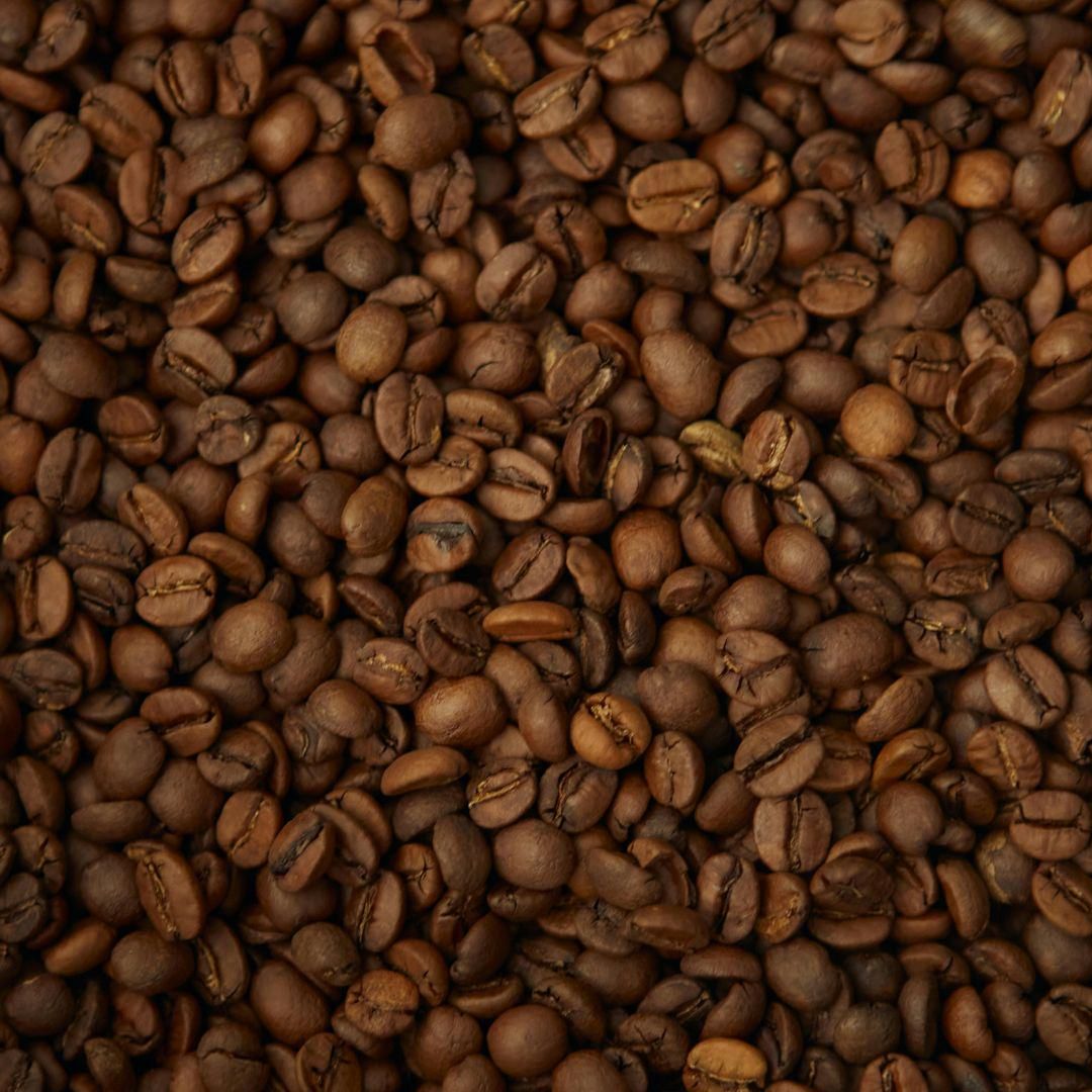 Potret biji kopi arabica