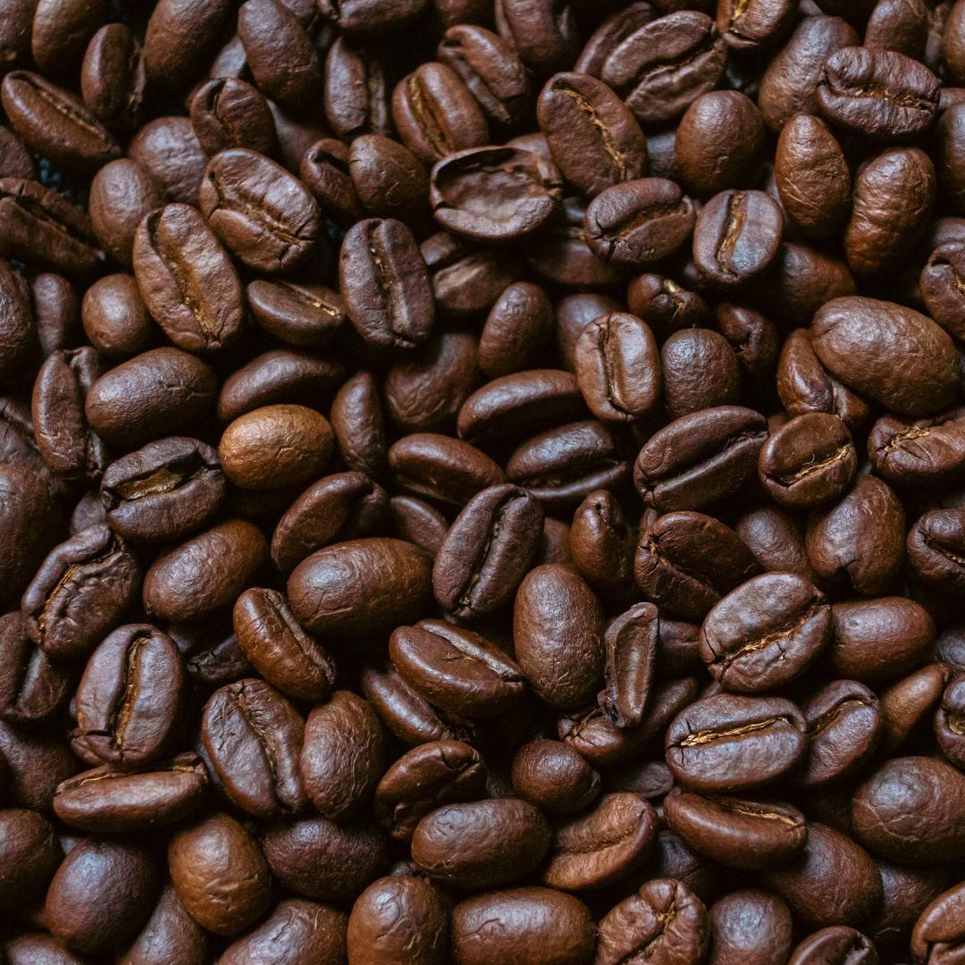 Potret biji kopi robusta