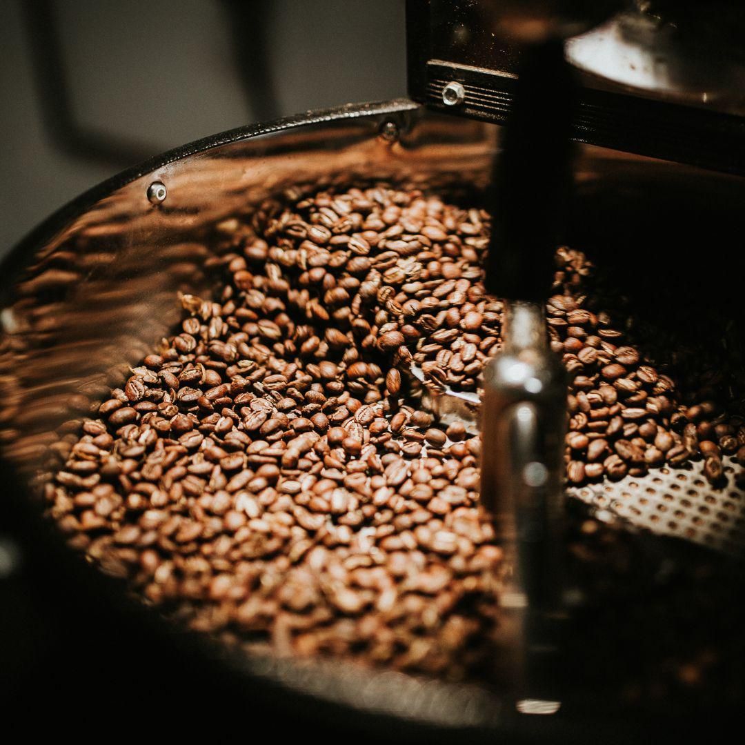 Potret biji kopi liberika