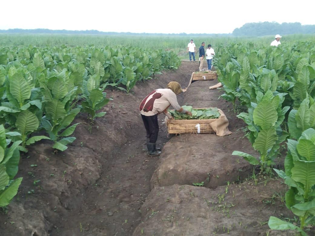 WhatsApp Image 2025-10-21 at 07.06.59_d03f2cb5.jpg