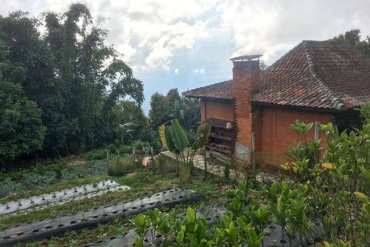 suasana salah satu penginapan di Desa Munduk, Buleleng (dok.pribadi/Natalia Indah)