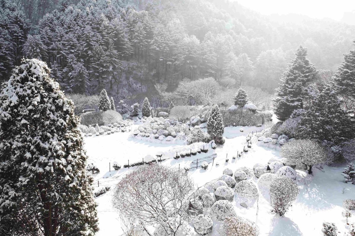 Suasana Garden of Morning Calm, Korea Selatan, saat musim dingin