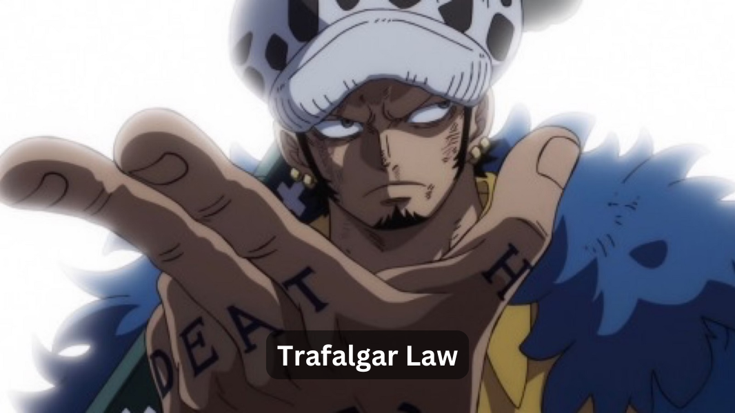 Law