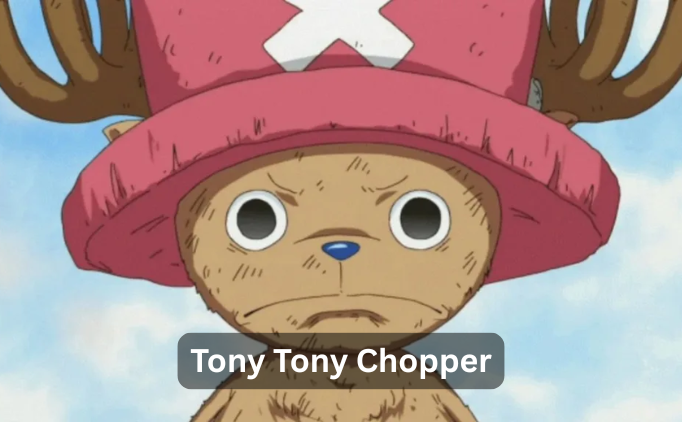 Tony Tony Chopper 