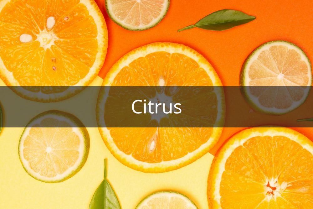 [QUIZ] Dari Wangi Parfum Favorit, Kami Tahu Sisi Gelapmu