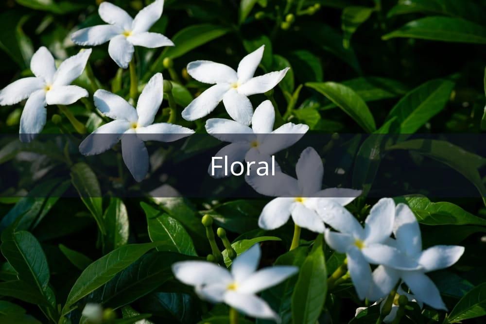 [QUIZ] Dari Wangi Parfum Favorit, Kami Tahu Sisi Gelapmu