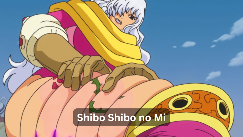 Shibo Shibo no Mi