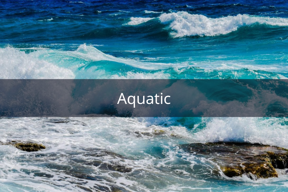 [QUIZ] Dari Wangi Parfum Favorit, Kami Tahu Sisi Unikmu