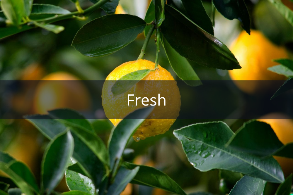 [QUIZ] Dari Wangi Parfum Favorit, Kami Tahu Sisi Unikmu