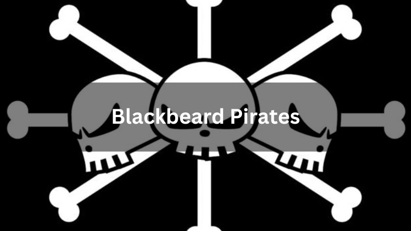 Blackbeard Pirates