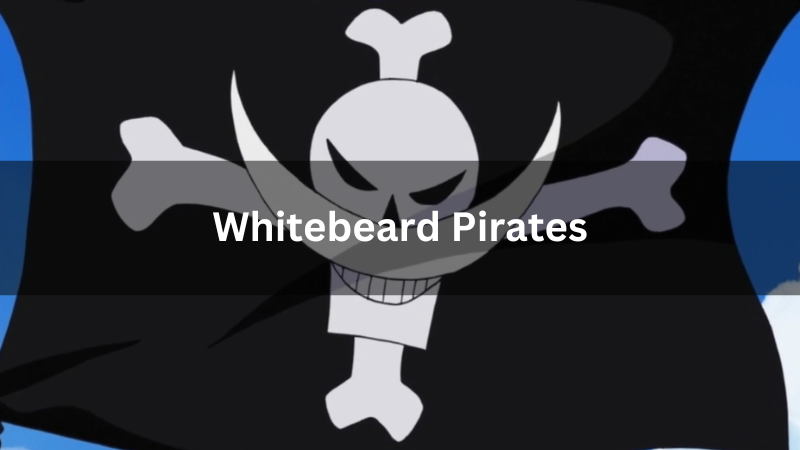Whitebeard Pirates