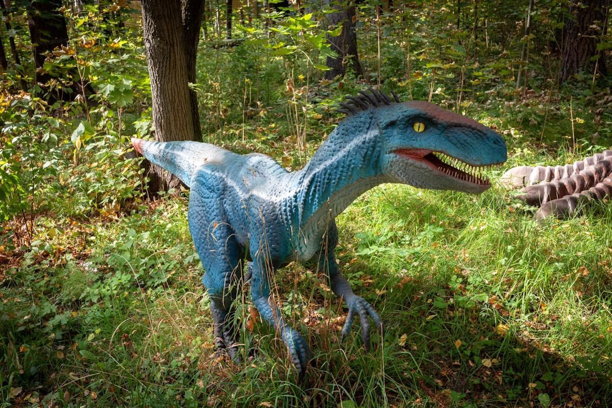 Velociraptor