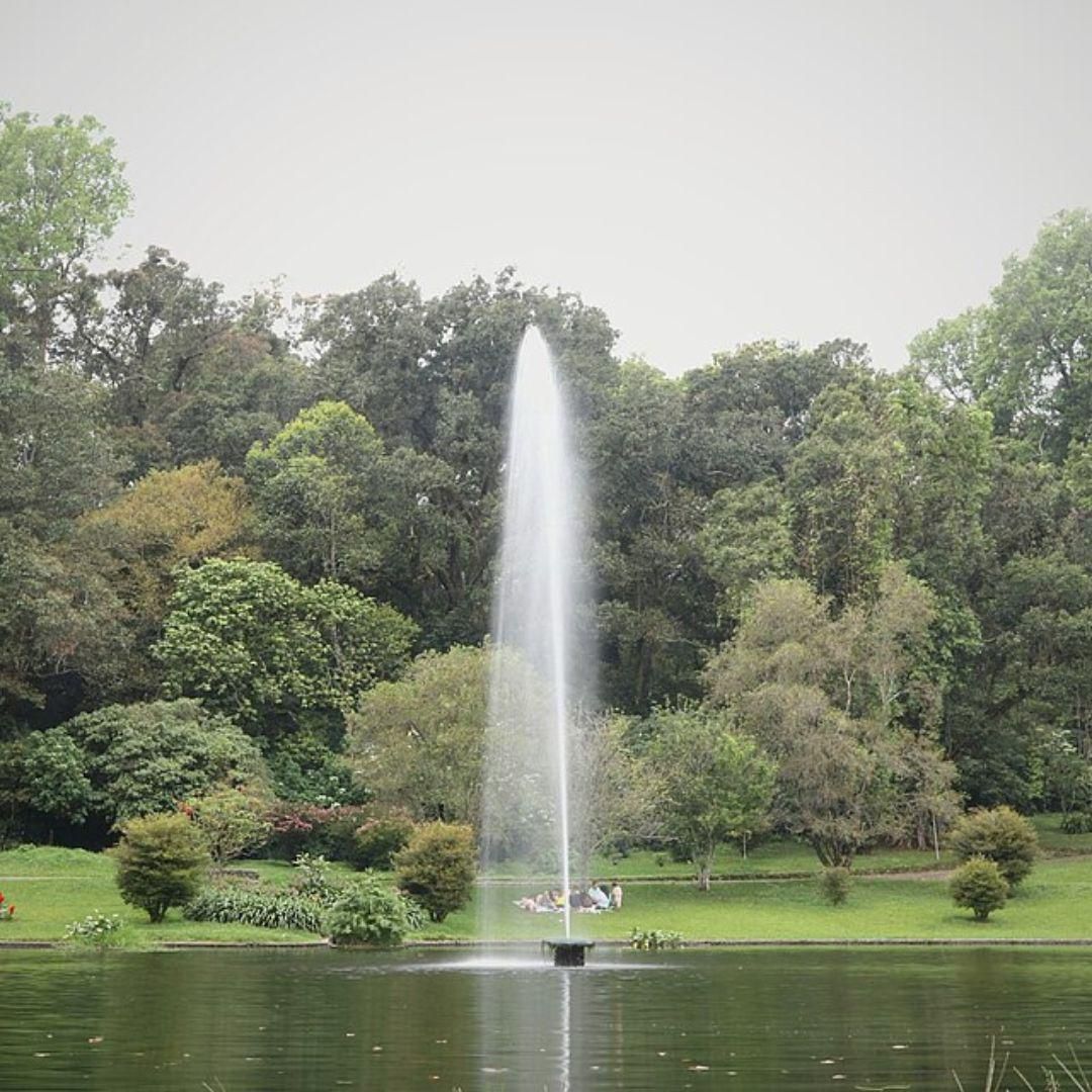 Potret Kebun Raya Cibodas, Cianjur