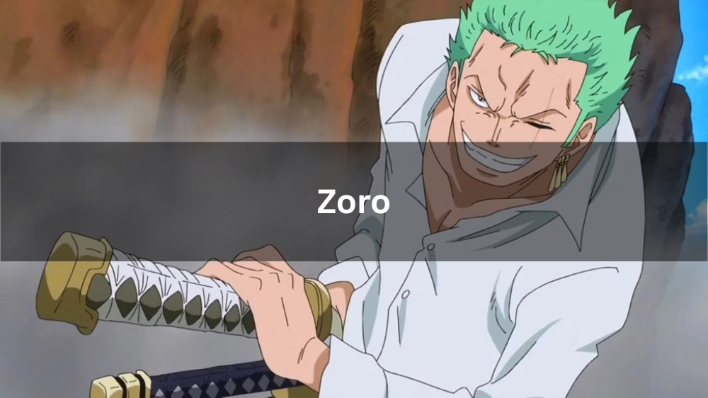 Zoro One Piece