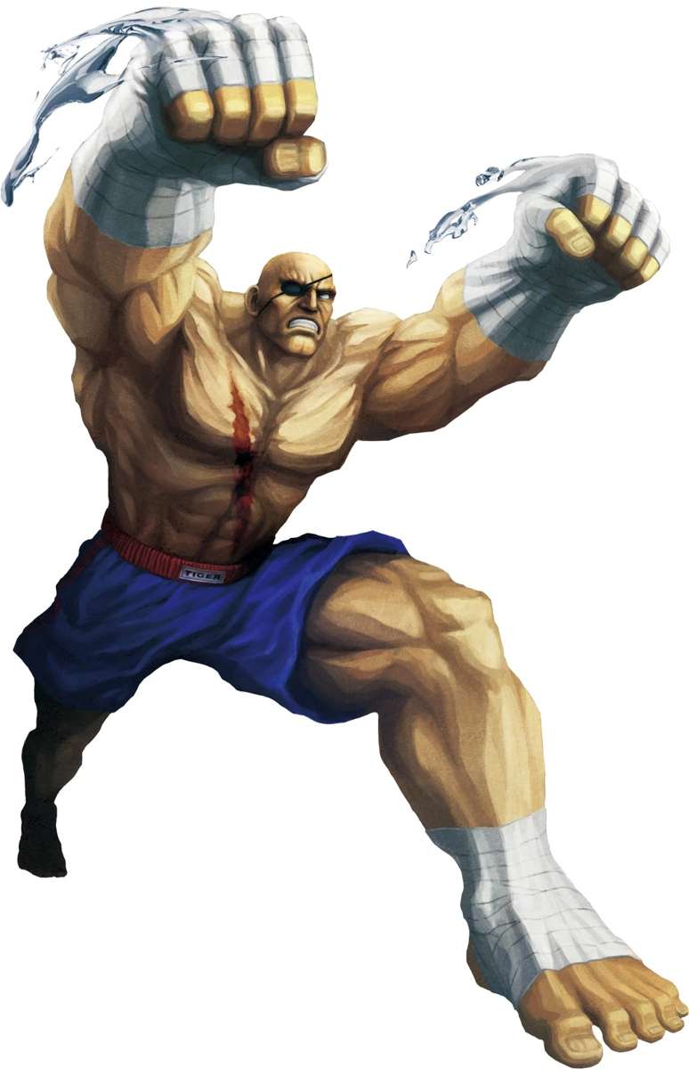 Sagat Street Fighter. (Dok. Capcom/Street Fighter)